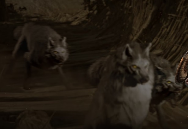 파일:Wolves.jpg