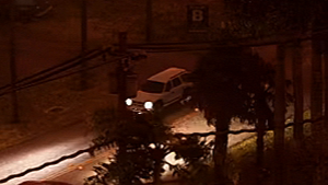 그랜드 테프트 오토 VI의 홍보 웹사이트에 있는 앰브로시아 엽서 비디오에 등장하는 도라도.