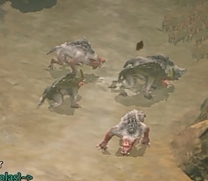 파일:Varanids.jpg