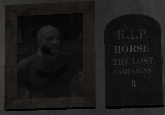 파일:Horse.jpg