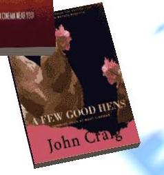 AFewGoodHens-GTASA-Book.jpg