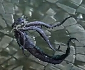 Marafex.jpg