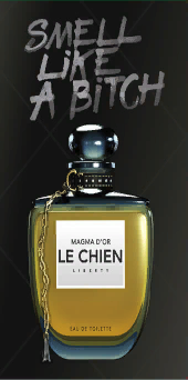 파일:LeChien-GTAV-Magma d'or 2.png