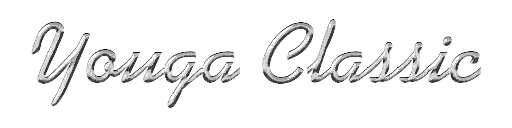 요우가 클래식 배지