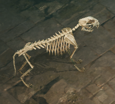 파일:Undying Hound Skeleton.png