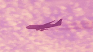 첫 번째 트레일러에 등장하는 제트입니다.