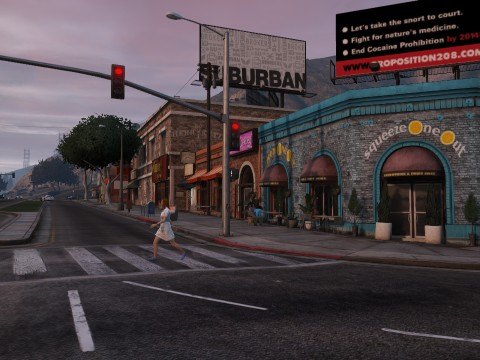 파일:MirrorParkBoulevard-GTAV.png