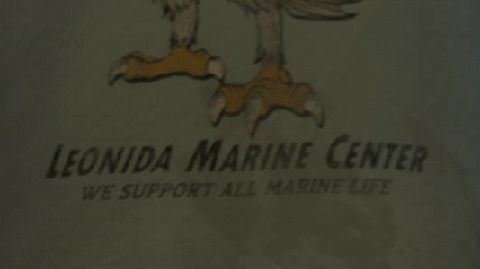 파일:LeonidaMarineCenter-GTAVI-Trailer2-ClothingDecalBottom.png