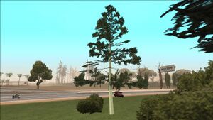 AshTree-GTASA.jpg