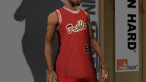 Clothing-GTASA-ProLaps-Torso-DribblersVest.png
