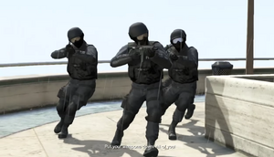 FIBTacticalTeam-GTAV-OriginalVersion.png