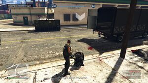 BailOfficeBounty-GTAOee-MostWanted-Thompson-SS22.jpg