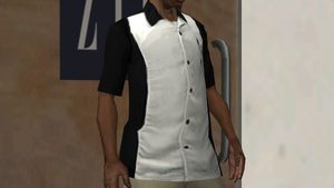 Clothing-GTASA-ZIP-Torso-Bowlingshirt.png