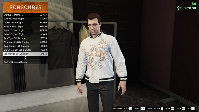 파일:CunningStunts-GTAO-MaleTops-BomberJackets5-IceWarriorSilkBomber.png