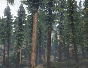 Sequoia-GTAV-SS1.jpg