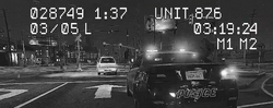 Underbelly of Paradise 프로그램에 방송된 LSPD 추격전 대시캠 영상.