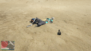 BuriedStashes-GTAOe-SkeletonRandomEvent-01-PacificBluffs.png