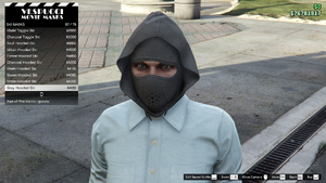 HeistsUpdate-GTAO-FemaleMasks-SkiMasks10-GrayHoodedSki.png