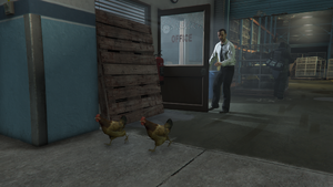 CluckingBellFarms-GTAV-InteriorLiveChickens.png