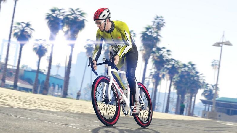 파일:EndurexRaceBike-GTAV-RGSC-Action.jpg