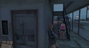 CleaningtheCatHouse-GTAO-EscortingAnna.jpg