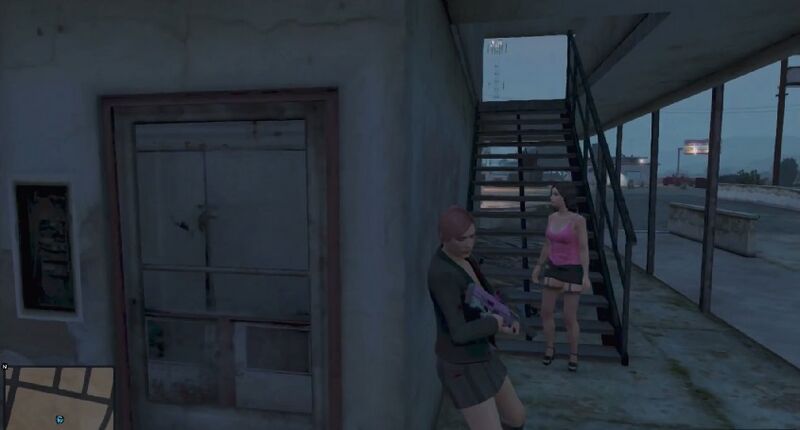 파일:CleaningtheCatHouse-GTAO-EscortingAnna.jpg
