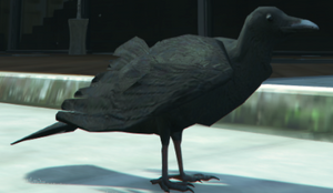 Crow GTA V.png