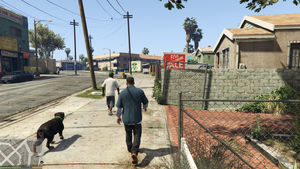 Chop5-GTAV.png