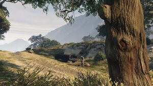 Burial-GTAV-MeetNorthPoint.jpg