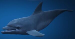 Dolphin-GTAV.jpg