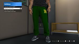 SpecialClothing-GTAOee-MagneticsTrackPants.jpg