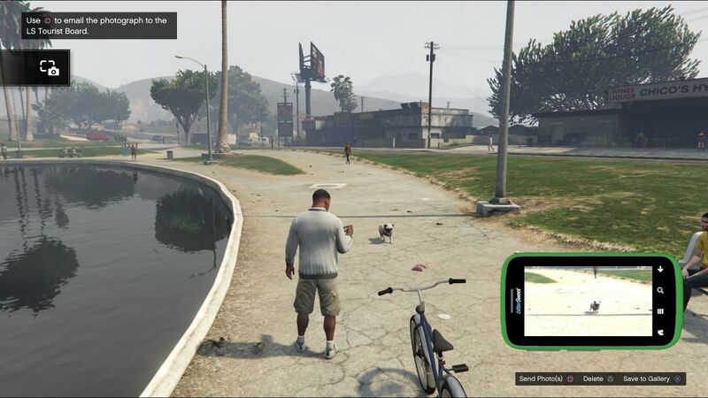 파일:Wildlife Photography Challenge GTAVe Pug.jpg