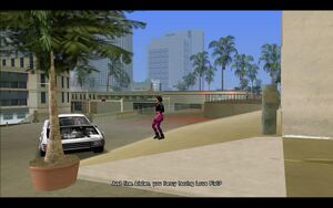 LoveJuice-GTAVC-SS25.jpg