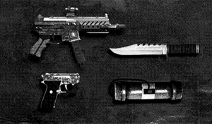 TheCayoPericoHeist-GTAO-PrepBoardImg-WeaponLoadout-04Saboteur.png