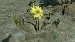 TuscanGoldFlower-TBoGT-SS1.png