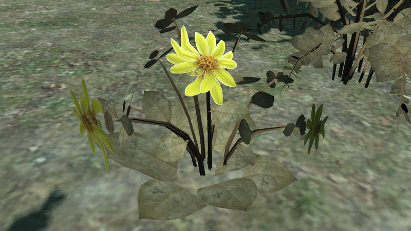 파일:TuscanGoldFlower-TBoGT-SS1.png