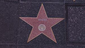 WalkofFame-GTAVee-Andee.jpg