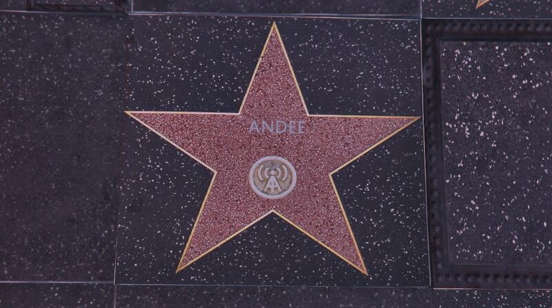 파일:WalkofFame-GTAVee-Andee.jpg