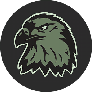 BlackEagle-GTAO-LogoIcon.png