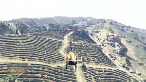 HelicopterTour-GTAOee-Set3-MarloweVineyards.jpg