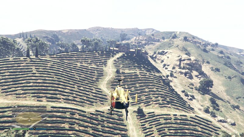 파일:HelicopterTour-GTAOee-Set3-MarloweVineyards.jpg