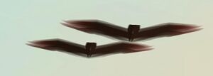 Birds-GTASA-Hawks.jpg