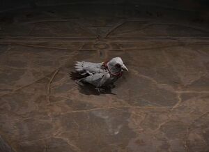Niccolo Omen of Death.jpg
