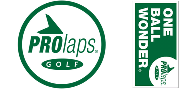 그랜드 테프트 오토 V 캐디 (세부)