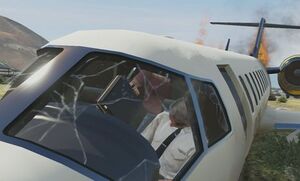 Caida3.jpg