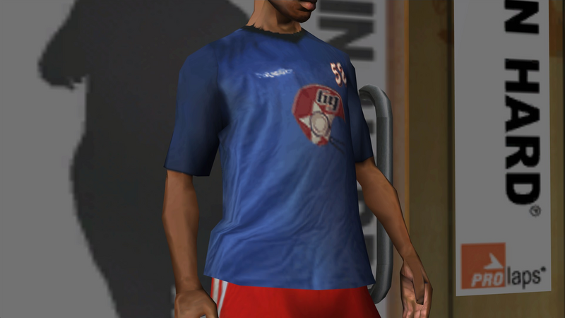 파일:Clothing-GTASA-ProLaps-Torso-69ersTShirt.png