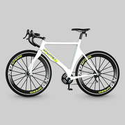 페달 & 메탈 사이클 웹사이트의 위핏 레이스 바이크.