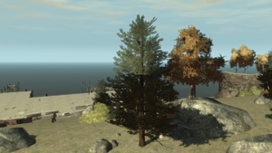ScotchPineTree-TBoGT-Wide.png