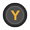 Y 버튼