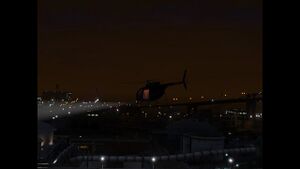 Spotlight buzzard.jpg